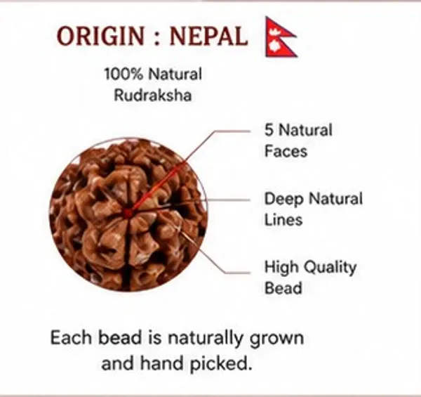 Ratna_Shree_Original_Nepali_Rudraksha_Mala_108+1_Beads_Lab_Certified_Natural_Prayer_Jaap_Mala_for_Men_Women_Meditation_&_Spiritual_Use_(5_Mukhi_Mala)