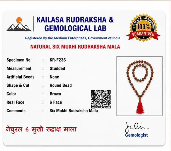 Ratna_Shree_Original_Nepali_Rudraksha_Mala_108+1_Beads_Lab_Certified_Natural_Prayer_Jaap_Mala_for_Men_Women_Meditation_&_Spiritual_Use_(6_Mukhi_Mala)