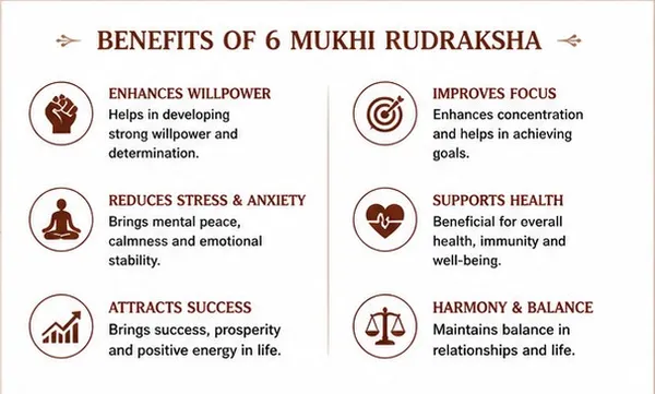 Ratna_Shree_Original_Nepali_Rudraksha_Mala_108+1_Beads_Lab_Certified_Natural_Prayer_Jaap_Mala_for_Men_Women_Meditation_&_Spiritual_Use_(6_Mukhi_Mala)