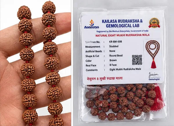 Ratna_Shree_Original_Nepali_Rudraksha_Mala_108+1_Beads_Lab_Certified_Natural_Prayer_Jaap_Mala_for_Men_Women_Meditation_&_Spiritual_Use_(8_Mukhi_Mala)