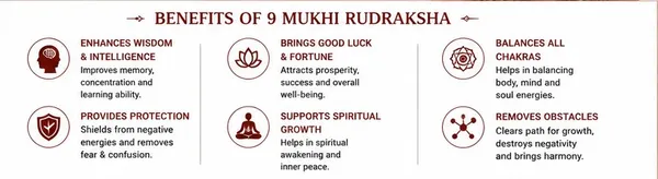 Ratna_Shree_Original_Nepali_Rudraksha_Mala_108+1_Beads_Lab_Certified_Natural_Prayer_Jaap_Mala_for_Men_Women_Meditation_&_Spiritual_Use_(9_Mukhi_Mala)