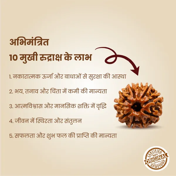 Original_10_Mukhi_Rudraksha_|_Nepali_Abhimantrit