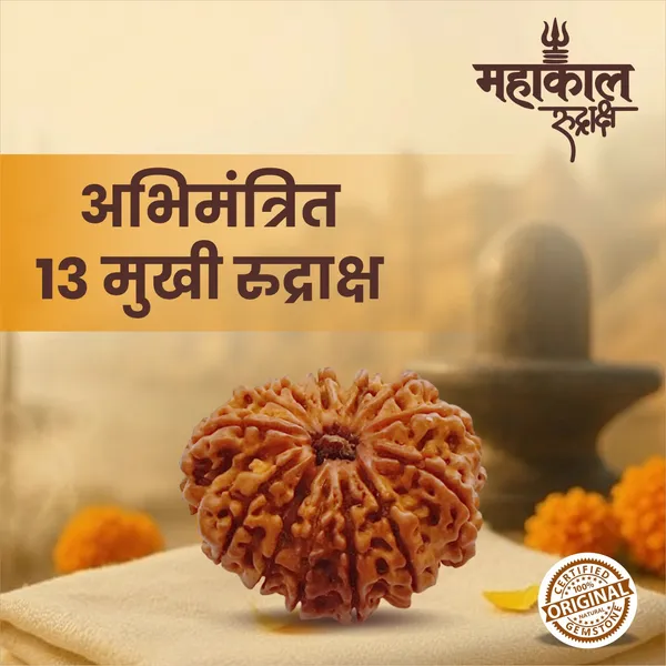 Original_13_Mukhi_Rudraksha_|_Nepali_Abhimantrit