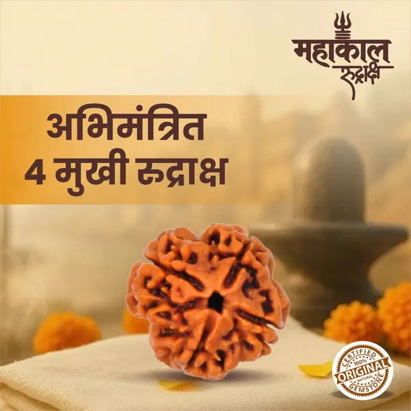 Original_4_Mukhi_Rudraksha_|_Nepali_Abhimantrit