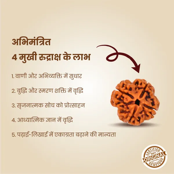 Original_4_Mukhi_Rudraksha_|_Nepali_Abhimantrit