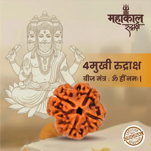 Original_4_Mukhi_Rudraksha_|_Nepali_Abhimantrit