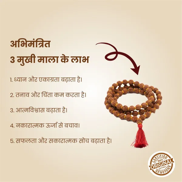Original_3_Mukhi_Rudraksha_Mala_|_Abhimantrit