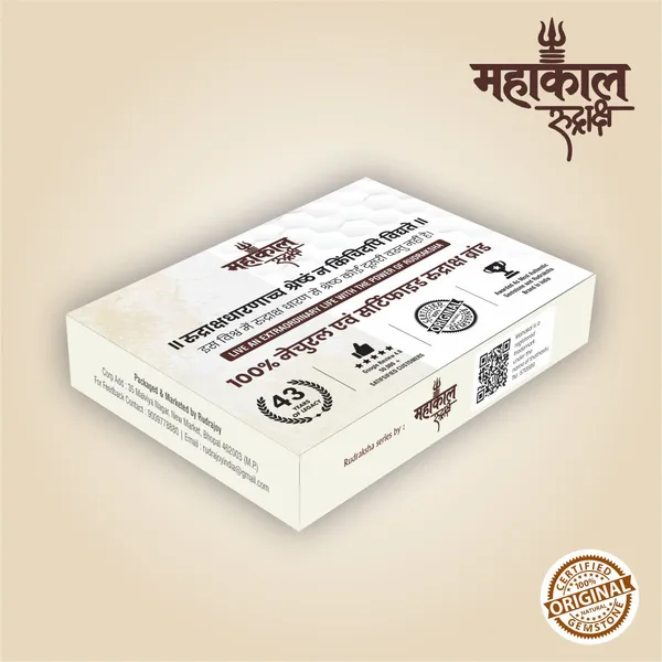 Original_7_Mukhi_Rudraksha_Mala_|_Abhimantrit