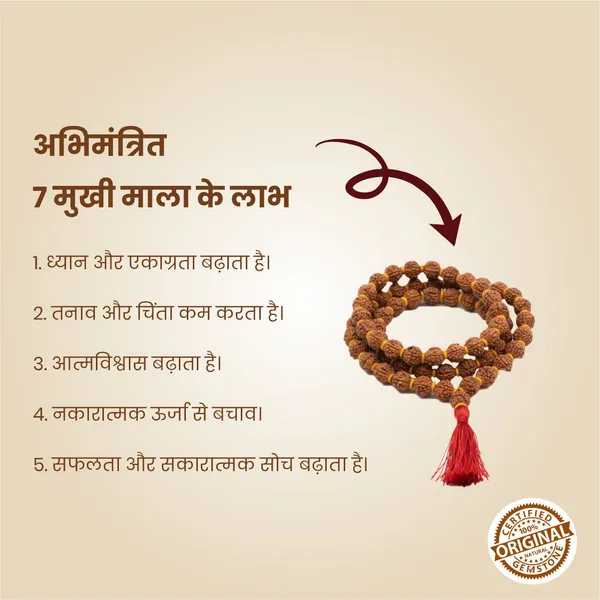 Original_7_Mukhi_Rudraksha_Mala_|_Abhimantrit