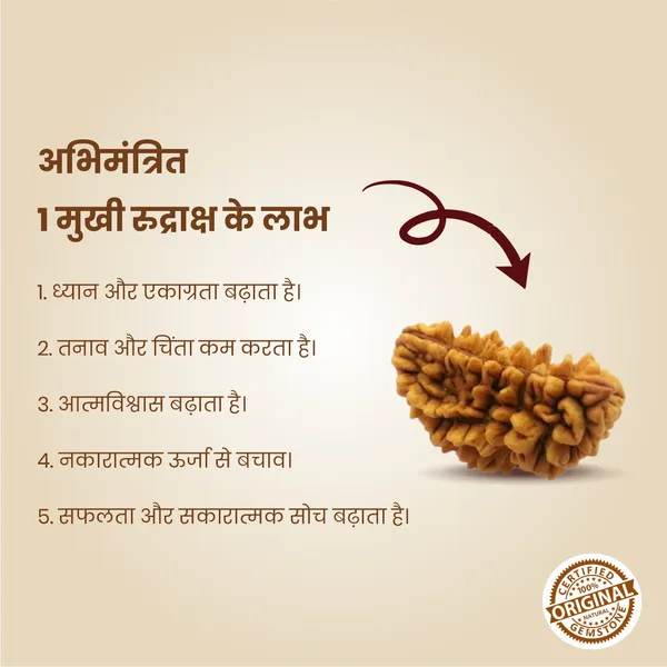 Original_1_Mukhi_Rudraksha_|_Nepali_Abhimantrit