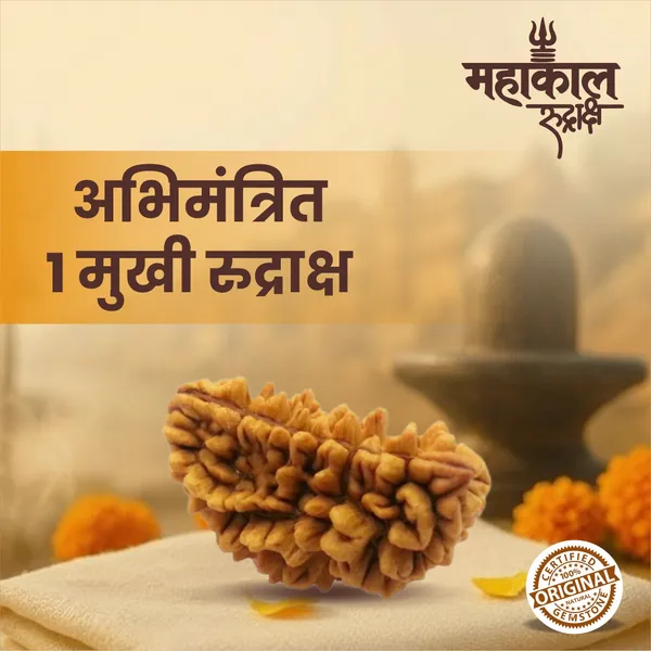 Original_1_Mukhi_Rudraksha_|_Nepali_Abhimantrit