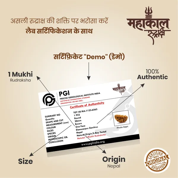 Original_1_Mukhi_Rudraksha_|_Nepali_Abhimantrit