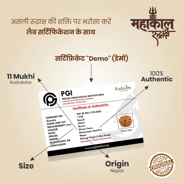 Original_11_Mukhi_Rudraksha_|_Nepali_Abhimantrit