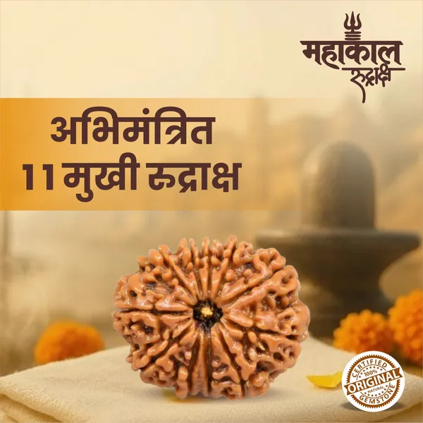 Original_11_Mukhi_Rudraksha_|_Nepali_Abhimantrit