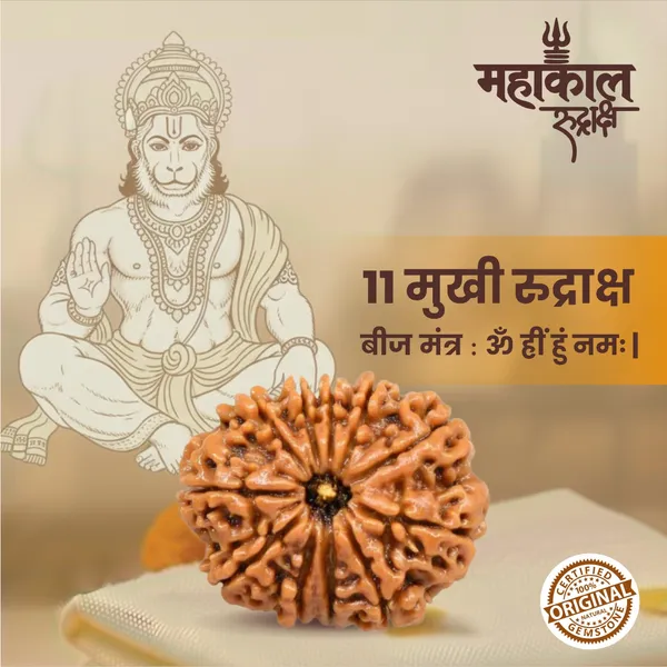 Original_11_Mukhi_Rudraksha_|_Nepali_Abhimantrit