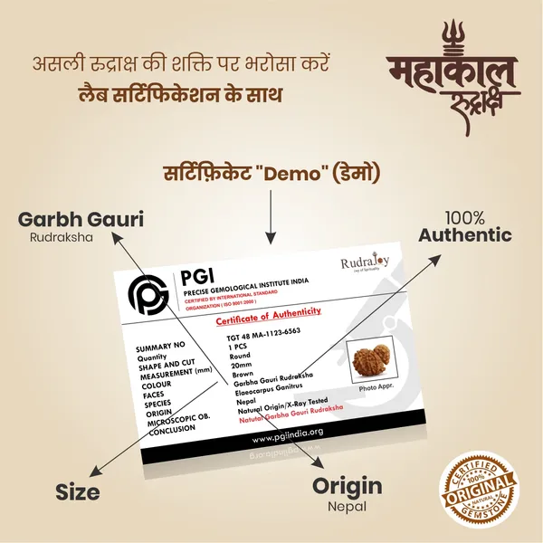 Original_Garbh_Gauri_Rudraksha_|_Nepali_Abhimantrit