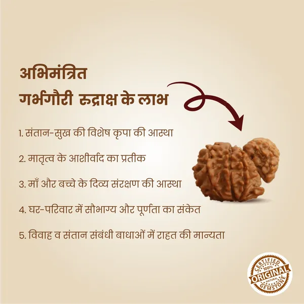 Original_Garbh_Gauri_Rudraksha_|_Nepali_Abhimantrit