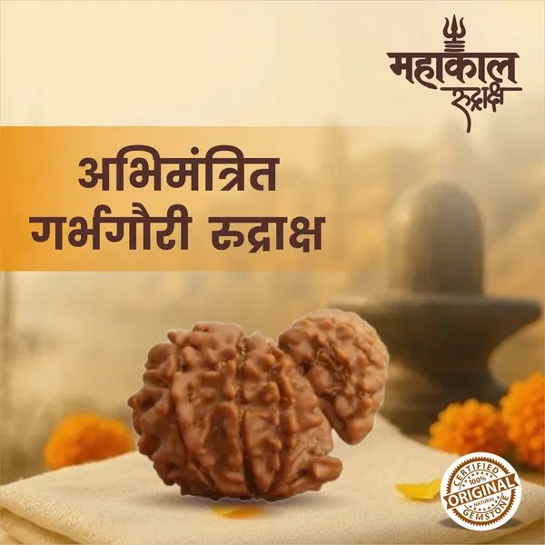 Original_Garbh_Gauri_Rudraksha_|_Nepali_Abhimantrit