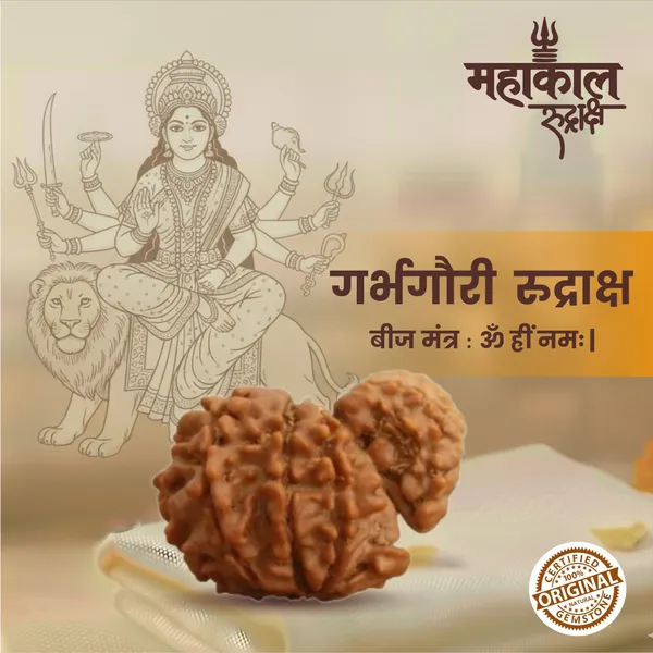 Original_Garbh_Gauri_Rudraksha_|_Nepali_Abhimantrit