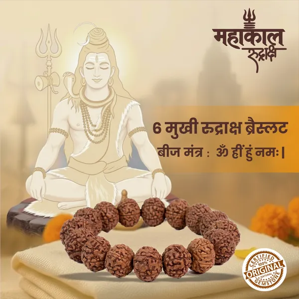 Original_6_Mukhi_Rudraksha_Bracelet_|_Abhimantrit