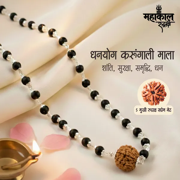 Dhanyog_Karungali_Mala|_with_7_mukhi_rudraksha