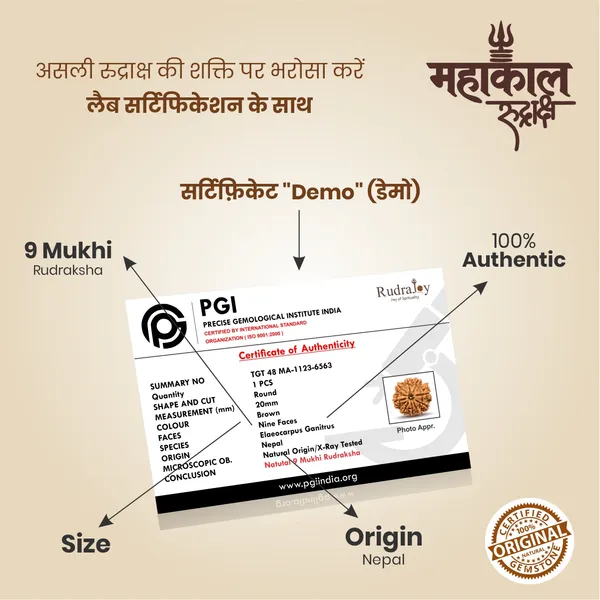 Original_9Mukhi_Rudraksha_|_Nepali_Abhimantrit