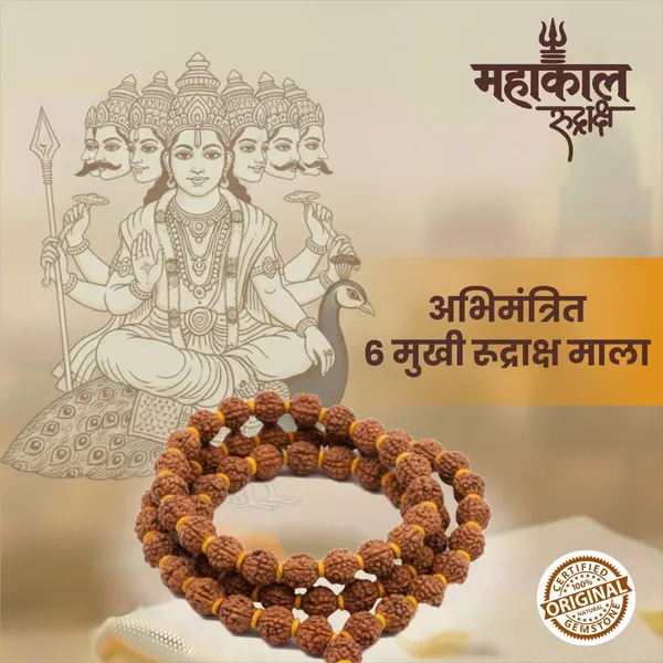 Original_6_Mukhi_Rudraksha_Mala_|_Abhimantrit