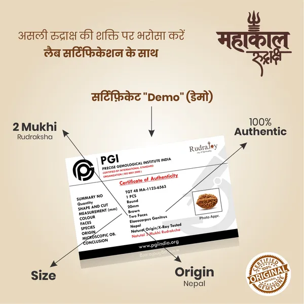 Original_2_Mukhi_Rudraksha_|_Nepali_Abhimantrit
