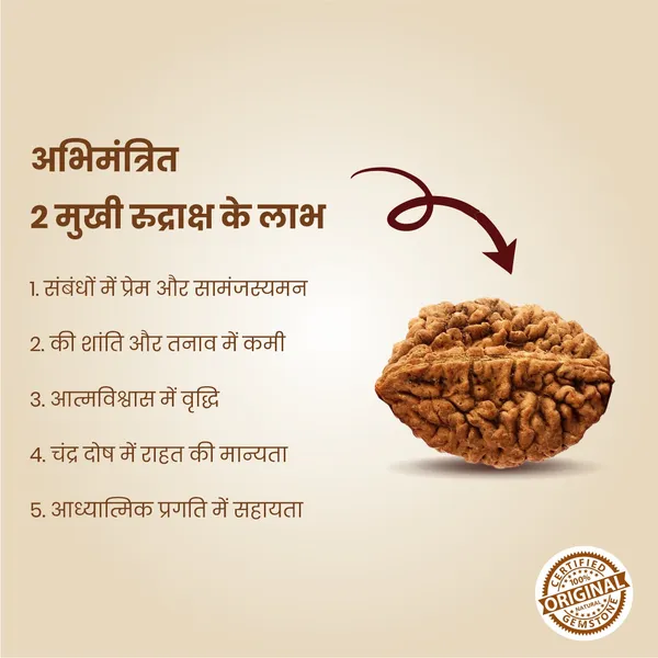 Original_2_Mukhi_Rudraksha_|_Nepali_Abhimantrit