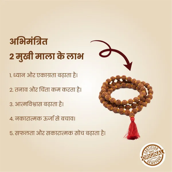 Original_2_Mukhi_Rudraksha_Mala_|_Abhimantrit
