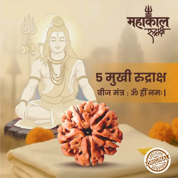 Original_5_Mukhi_Rudraksha_|_Nepali_Abhimantrit