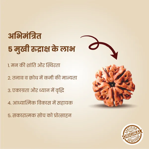 Original_5_Mukhi_Rudraksha_|_Nepali_Abhimantrit
