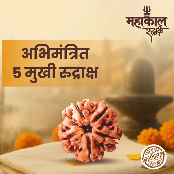 Original_5_Mukhi_Rudraksha_|_Nepali_Abhimantrit