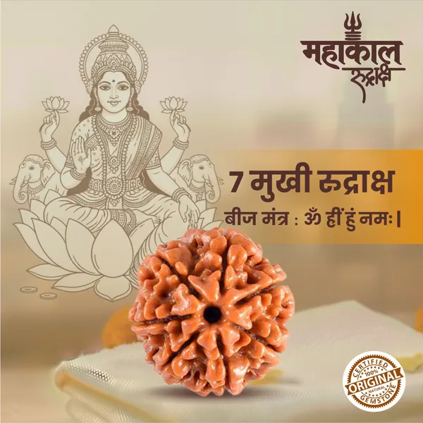 Original_7_Mukhi_Rudraksha_|_Nepali_Abhimantrit