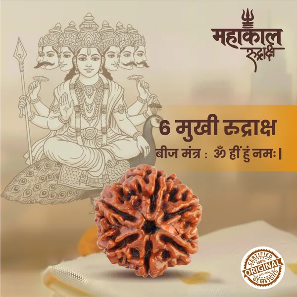 Original_6_Mukhi_Rudraksha_|_Nepali_Abhimantrit
