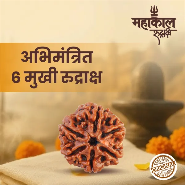 Original_6_Mukhi_Rudraksha_|_Nepali_Abhimantrit