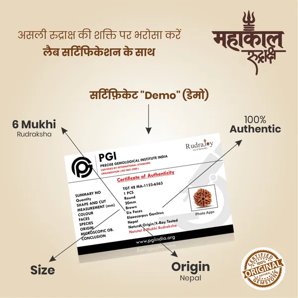 Original_6_Mukhi_Rudraksha_|_Nepali_Abhimantrit