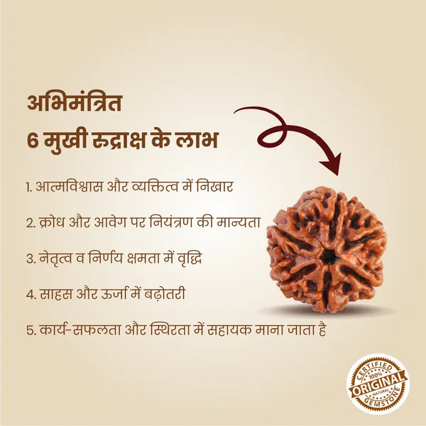 Original_6_Mukhi_Rudraksha_|_Nepali_Abhimantrit