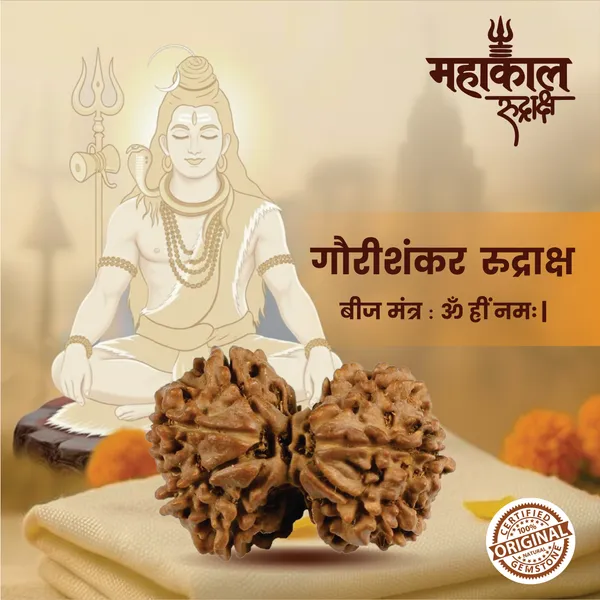 Original_Gaurishankar_Rudraksha_|_Nepali_Abhimantrit