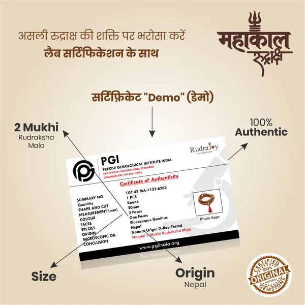 Original_5_Mukhi_Rudraksha_Mala_|_Abhimantrit