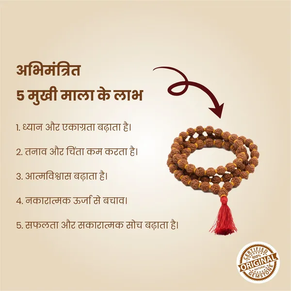 Original_5_Mukhi_Rudraksha_Mala_|_Abhimantrit