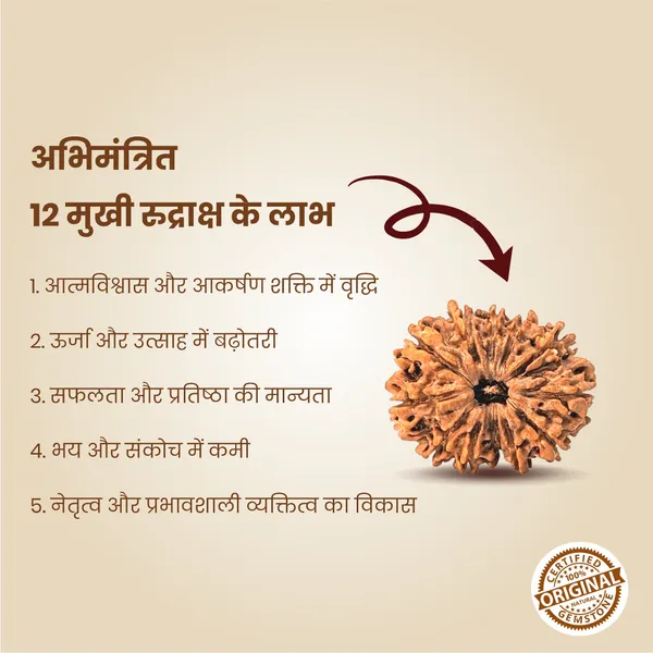 Original_12_Mukhi_Rudraksha_|_Nepali_Abhimantrit