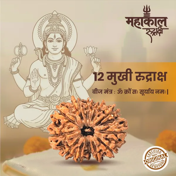 Original_12_Mukhi_Rudraksha_|_Nepali_Abhimantrit