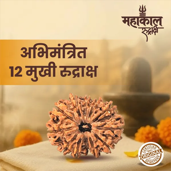 Original_12_Mukhi_Rudraksha_|_Nepali_Abhimantrit