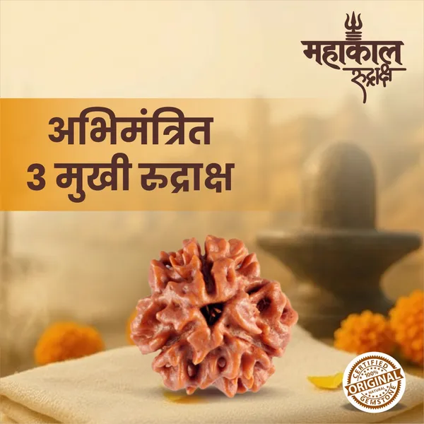 Original_3_Mukhi_Rudraksha_|_Nepali_Abhimantrit