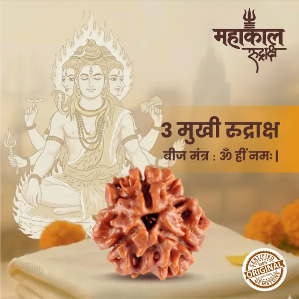 Original_3_Mukhi_Rudraksha_|_Nepali_Abhimantrit