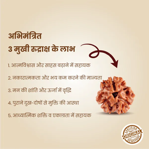 Original_3_Mukhi_Rudraksha_|_Nepali_Abhimantrit