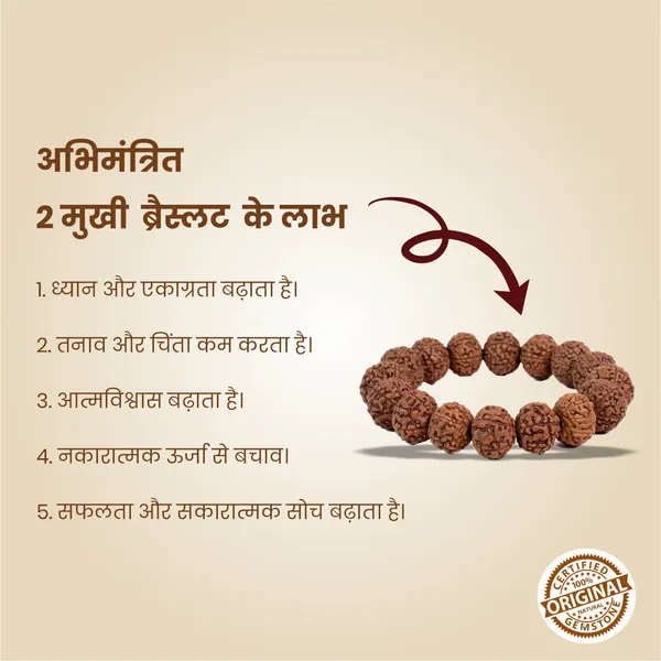 Original_2_Mukhi_Rudraksha_Bracelet_|_Abhimantrit