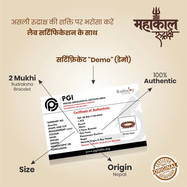 Original_2_Mukhi_Rudraksha_Bracelet_|_Abhimantrit