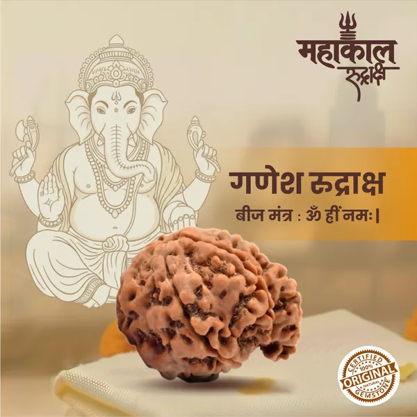 Original_Ganesh_Rudraksha_|_Nepali_Abhimantrit